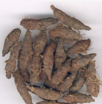 香 附
